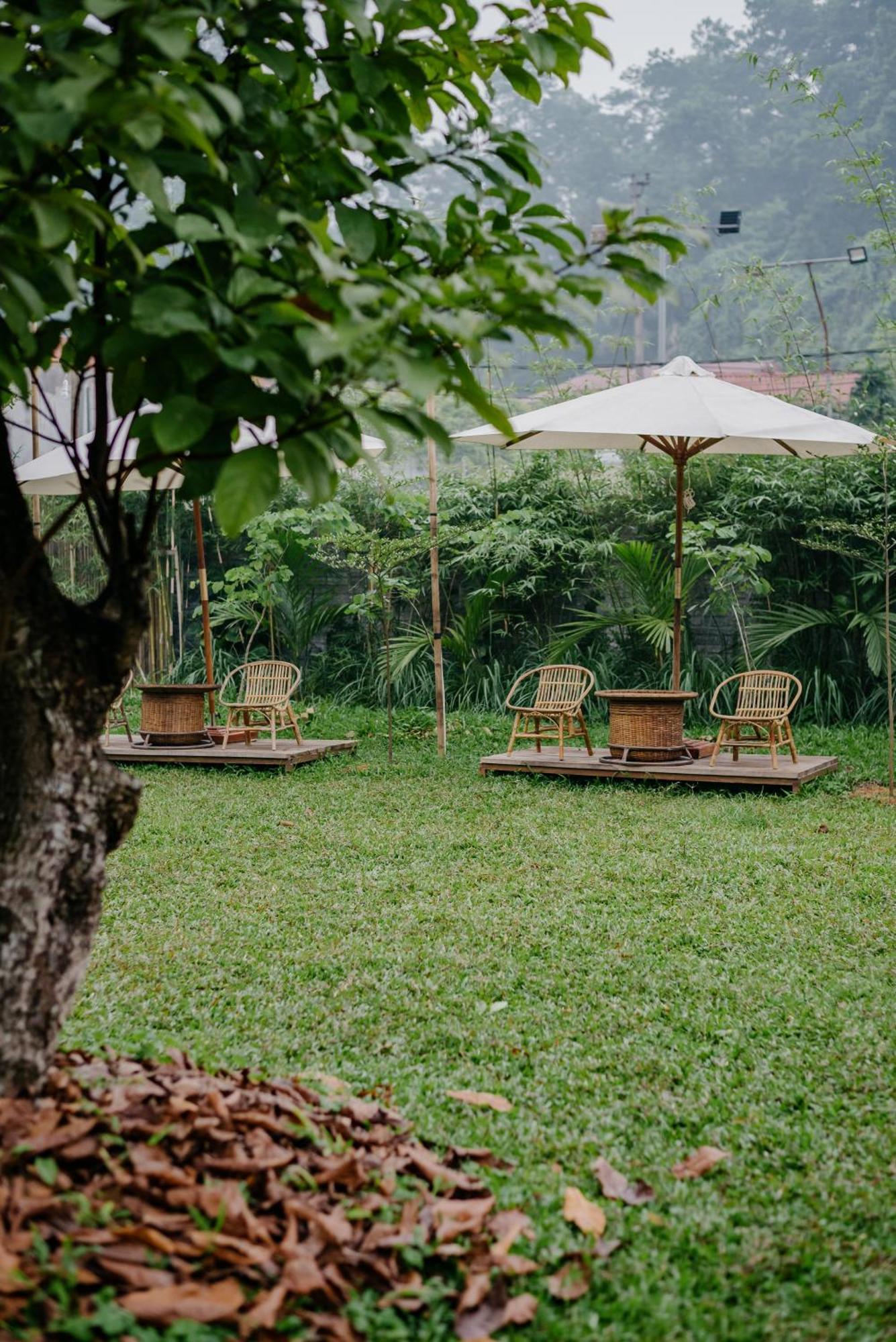 Dinh Gia Trang - Homestay & Coffee The Ruong Exterior photo